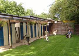 Dog Boarding Kennels Dublin Dog Boarding Kennels Dublin