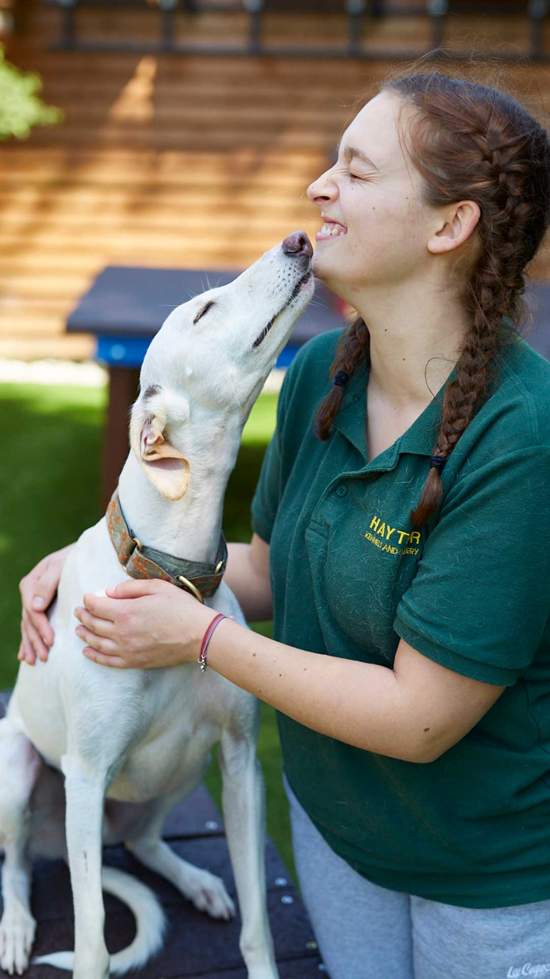 Haytor Prices Haytor Kennels and Cattery, Dorking, Surrey, close to